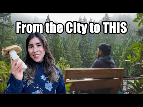 From City Life to Homestead Life | What Life is Like
