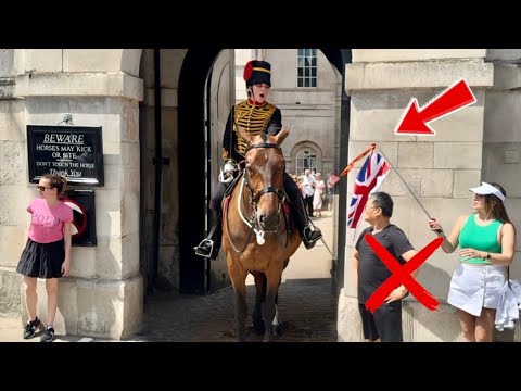 King’s Guard LOSES Her PATIENCE with these Entitled Idiots At Horse Guards
