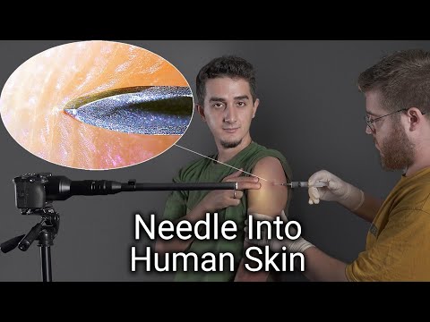 Zooming into Everyday Objects Close-Up (1000x Macro Camera test)