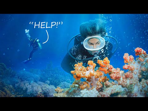 Bad Dive Buddy? 4 Common Mistakes to Avoid