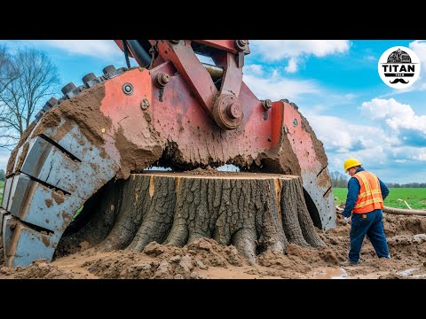 Extreme Dangerous Monster Stump Removal Excavator | Amazing Fastest Wood Chipper Machines #25