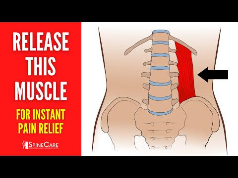 The #1 Muscle to Release to Fix Your Back Pain