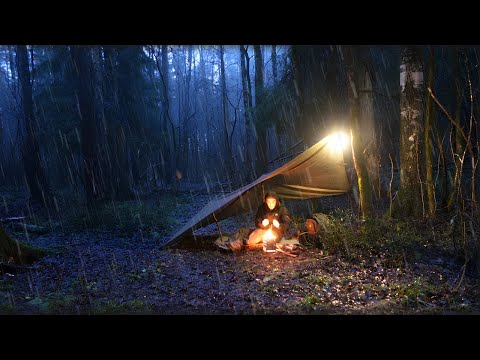 Extreme Winter Solo Survival Camping in the Rain and Snow | Bushcraft Tarp Shelter in Forest ASMR 4K