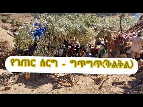 የገጠር ሰርግ - ግጥግጥ( ቅልቅል) Part 2 አንዳቤት ፣ እስቴ ፣ ጎንደር