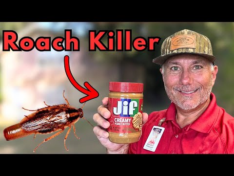 ROACHES EVERYWHERE-Simple Hack Kills Them All!