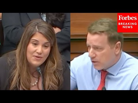 'Is The Border Secure?': Pat Fallon Grills Dem Witness On Border Security