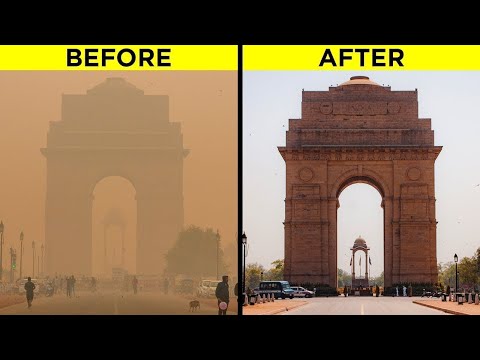 Craziest Changes Through The Pandemic