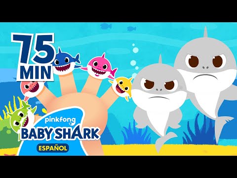 Enganchados Canciones Infantiles | Mejores Canciones de Tiburón Bebé | Baby Shark en español