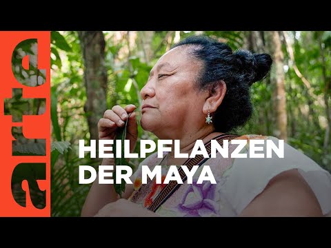Belize: Wir sind Maya! | ARTE Family