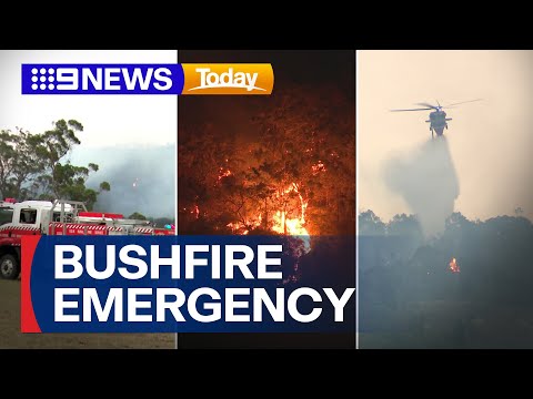 Multiple fires still burning as dozens of homes destroyed in NSW | 9 News Australia
