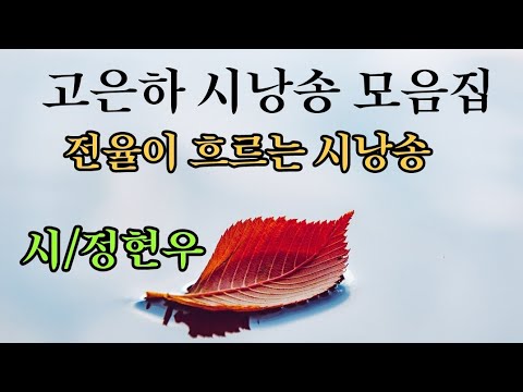 시낭송 고은하 /시낭송 모음집 10편 연속듣기 낭송- 고은하 전율이 흐르는 천상의 목소리 주옥 같은 시/ 정현우시인