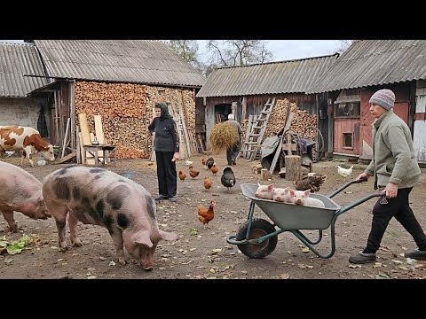 "This is what real rural life looks like: love, work and quiet harmony"
