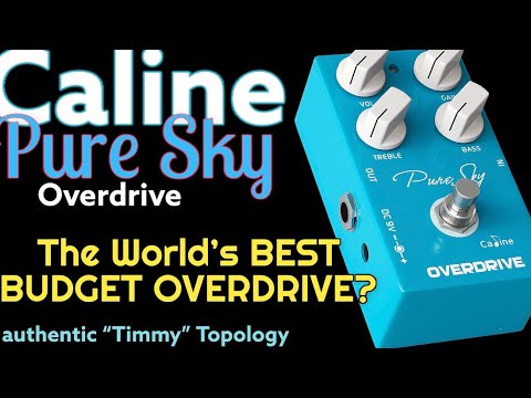 CALINE PURE SKY OVERDRIVE - The BEST BUDGET OVERDRIVE Ever Made?