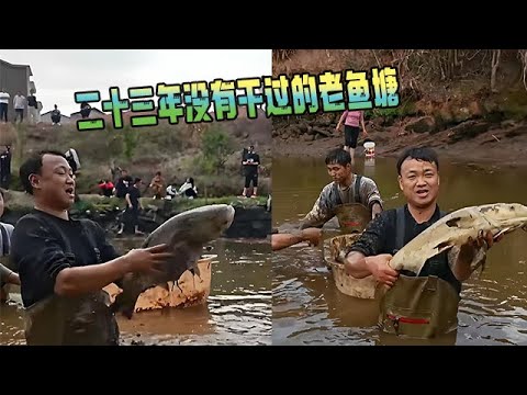 花2800包下壹個叔叔家二十三年沒有幹過的老魚塘，抽幹水裏面 #戶外 #大表哥 #fishing