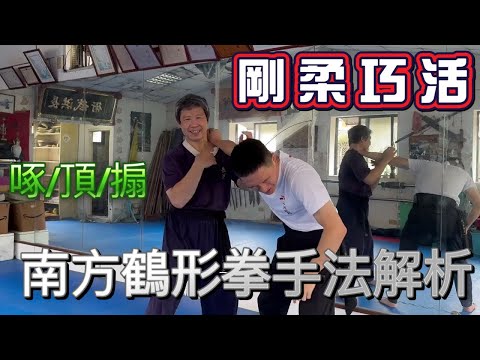 詠春的源頭，從廣東福建一路到台灣都有的南方武術大派 鶴形拳術手法介紹