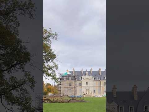 What a week at the château throws at us!  #châteaurestoration #frenchchâteau #history