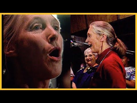 Jane Goodall does incredible chimp impressions in 1993 interview