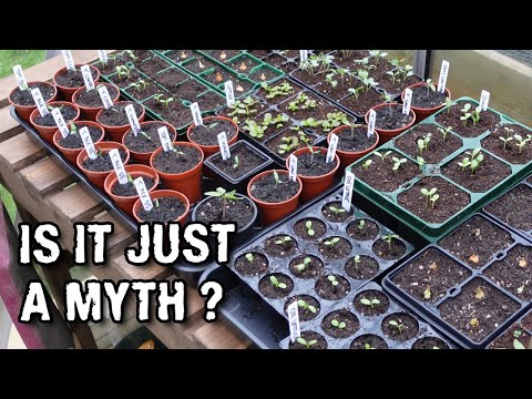 Do seeds REALLY go out of date?? Let's find out!