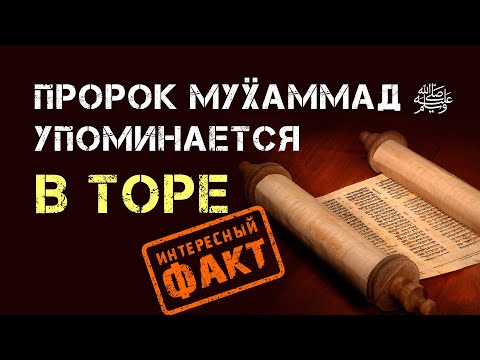 Prophet Muhammad ﷺ is mentioned in the Torah. This is hidden