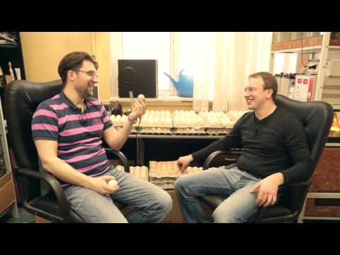 Как выбрать инкубационное яйцо! Что важно для покупки яиц на инкубацию\\ Птицеводство ТВ #1