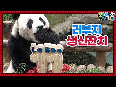 (SUB) Father Of Three Daughters, Lebao's 11th Birthday Party!│ Panda World🐼