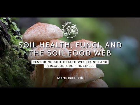 Soil Health, Fungi, and the Soil Food Web