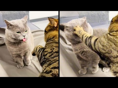 They Took It Personally