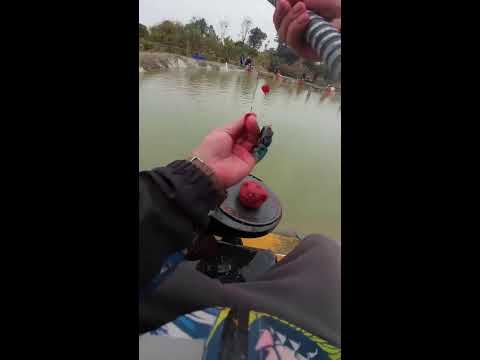 Today’s goal is to catch 200 fish