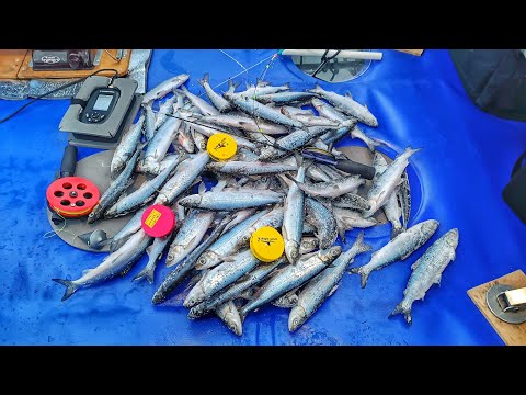 ПОЙМАЛ ЦЕЛУЮ ГОРУ РИПУСА! ЛОВЛЯ РИПУСА в ЯНВАРЕ. Озеро Увильды.Рыбалка 2025