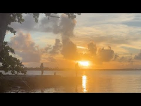 Wonderfully Wild Adventure is live watching the sunset and having a bbq