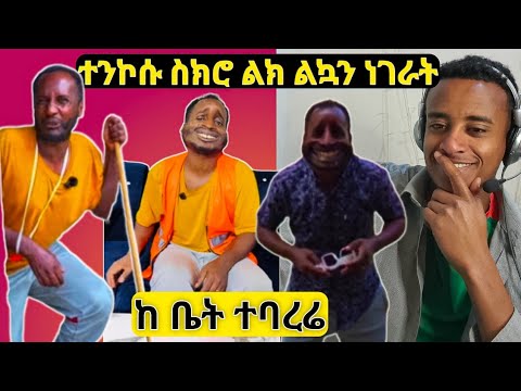 ተንኮሱ ስክሮ ተሳደቤ || ከ ቤት አባረረች/Ethiopian tiktok videos / Ethiopian tiktok reaction @Tonkosu mageebure