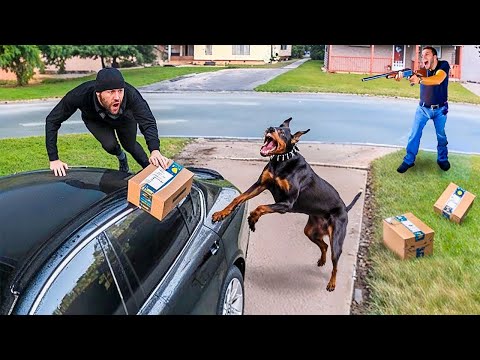 When Thieves Rob The Wrong House | Instant Karma #10