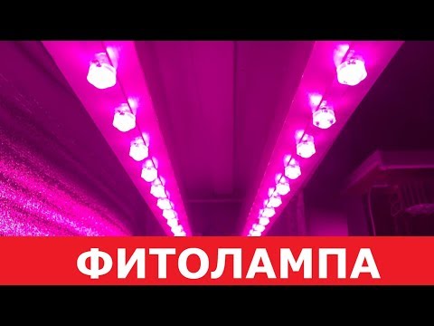 Фитолампа своими руками из светодиодов! Правильный свет для выращивания для растений.