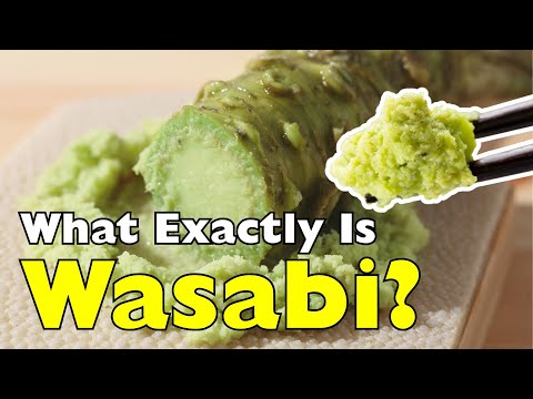 What Exactly Is Wasabi? The Truth Behind the Green Paste