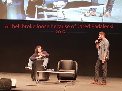 All Hell Breaks Loose 8 - Panel Compilation