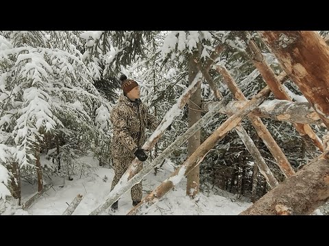 Solo Bushcraft. 2 Days to Build Two Warm Shelters to Survive and Catch the Winter Winds