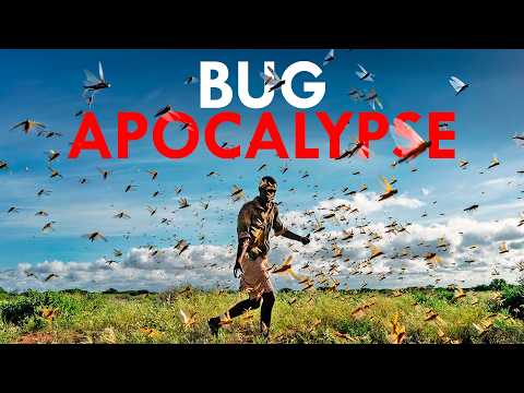 Are Locusts Worse Than Mosquitoes?