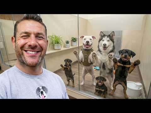 I Toured a Local Shelter, and Adopted Their Dogs