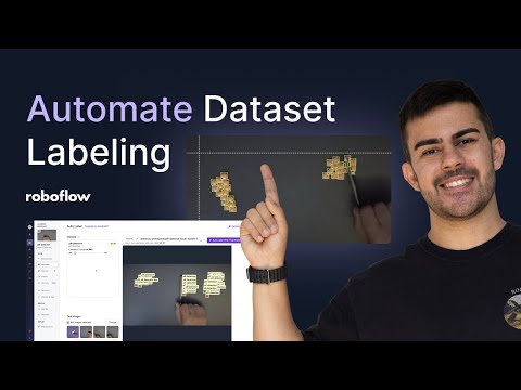 Auto Labeling Image Data | How to Annotate a Dataset and Train a Vision AI Model