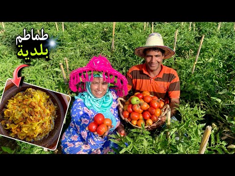 جمع محصول الطماطم و تحضير طاجين بلحم الخروف