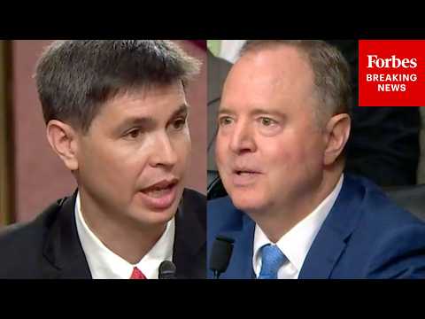 MUST WATCH: Schiff And Trump Judge Nominee Have Fiery Exchange Over Limits Of Presidential Powers