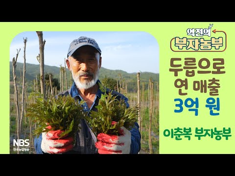 [역전의부자농부 299회] 두릅으로 연 매출 3억 원! 전남 보성 이춘복 부자농부