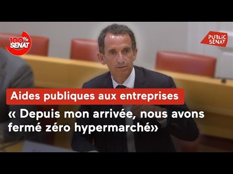 Aides publiques aux entreprises : audition du PDG de Carrefour