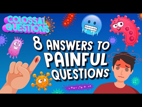 8 Answers to PAINFUL Questions! | COLOSSAL QUESTIONS