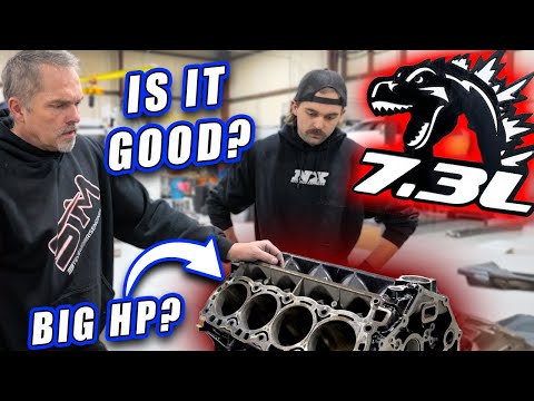 Is THIS The New COYOTE KILLER?! Our Take on the 7.3L GODZILLA! 