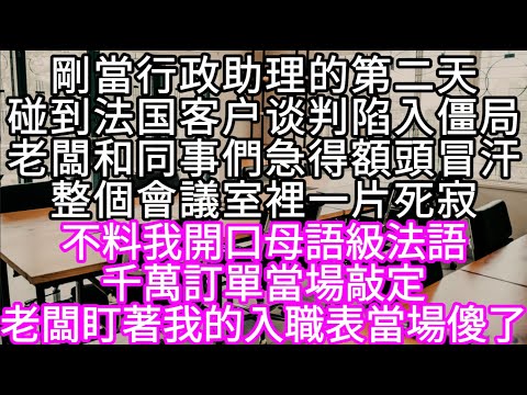 剛當行政助理的第二天碰到法国客户谈判陷入僵局老闆和同事們急得額頭冒汗整個會議室裡一片死寂 不料我開口母語級法語千萬訂單當場敲定 #心書時光 #為人處事 #生活經驗 #情感故事 #唯美频道 #爽文