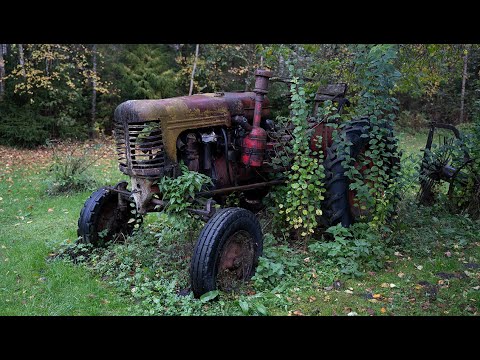 Starting 1 Cylinder Diesel Tractor DT-14 After 15 Years + Test Drive