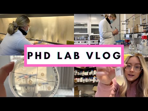 PHD LAB VLOG: I can’t believe what’s happened!!!