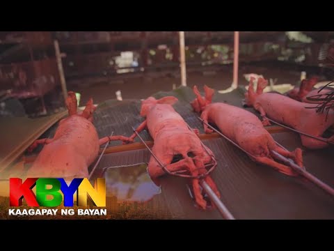 KBYN: Karne ng rabbit puwede nang alternatibo sa karne ng baboy
