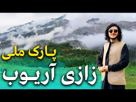 هی میدان طی میدان در زازی آریوب - پناهگاه طبیعت در کوهستان‌های سرسبز با درختان کاج